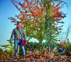 Einhell Ge-Lb 36/210 Li E-Solo Akülü Üfleme (Profesyonel) 3433620