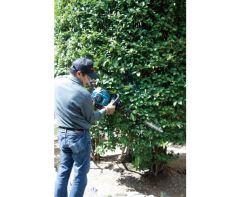 Makita EH6000W Benzinli Çit Taraf Bıçaklı Budama 600mm