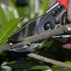 Berger 1114 Bahçe Makası 215mm