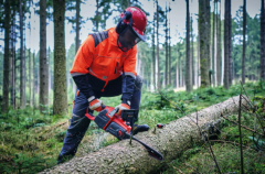 Einhell GP-LC 36/40 Li BL-Solo Akülü Zincirli Testere Akü Hariç 4600050