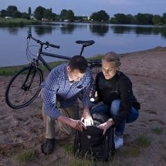 Kwb 49948140 Led Fener 19cm 3W