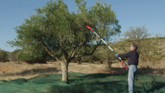 Einhell GE-FS 18/53 Li - Solo Akülü Meyve & Zeytin Silkme (Akü ve Şarj Hariç) - 3411400